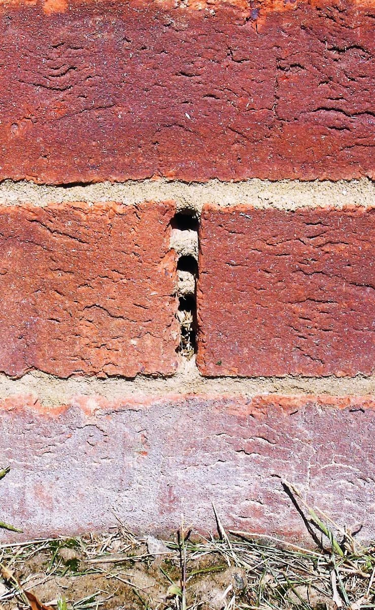 Weep Holes Explained: Essential Snagging Tips for New Homeowners