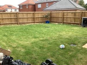A newly turfed back garden with a timber fence and a football