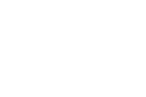 Logo White