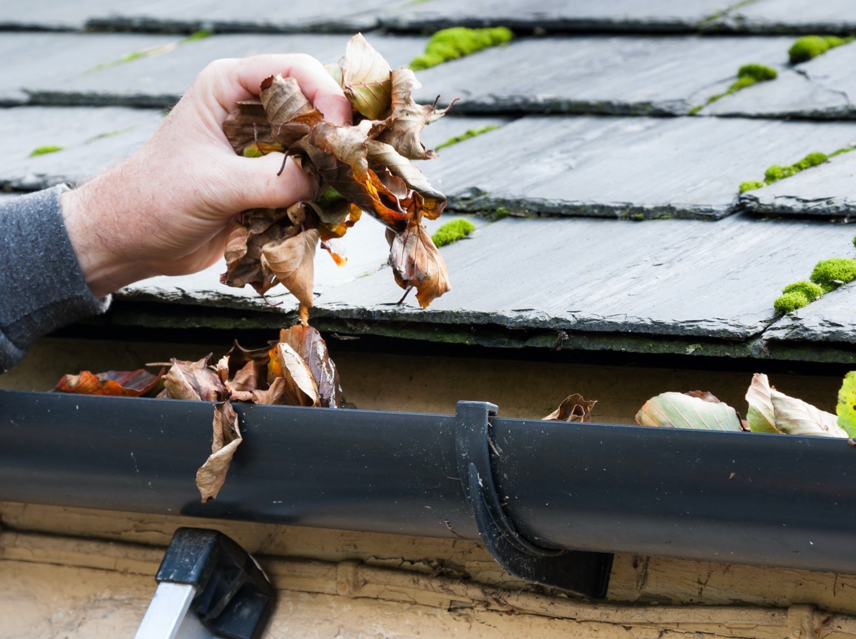 Clearing,Blocked,Gutter,Of,Autumn,Leaves