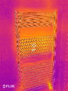 Thermal Imaging during Home Survey Warwick